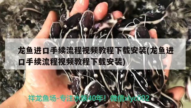 龙鱼进口手续流程视频教程下载安装(龙鱼进口手续流程视频教程下载安装)