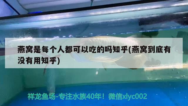 燕窝是每个人都可以吃的吗知乎(燕窝到底有没有用知乎) 马来西亚燕窝