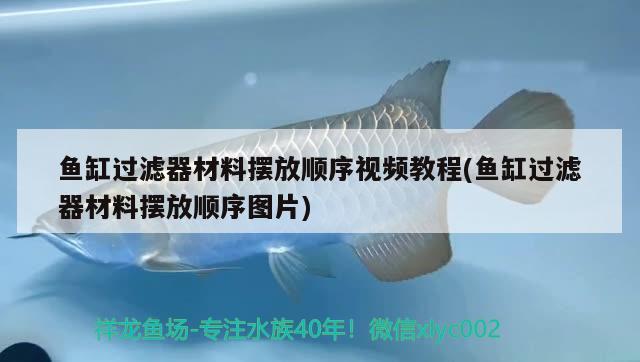 鱼缸过滤器材料摆放顺序视频教程(鱼缸过滤器材料摆放顺序图片) 二氧化碳设备