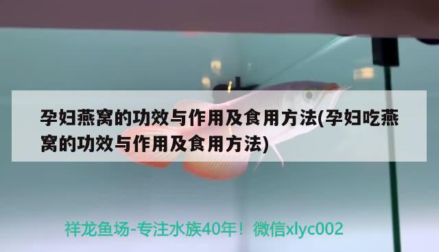 孕妇燕窝的功效与作用及食用方法(孕妇吃燕窝的功效与作用及食用方法) 马来西亚燕窝