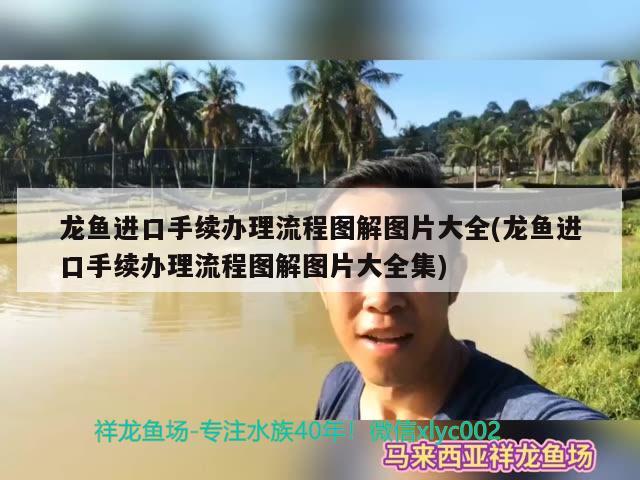 龙鱼进口手续办理流程图解图片大全(龙鱼进口手续办理流程图解图片大全集)