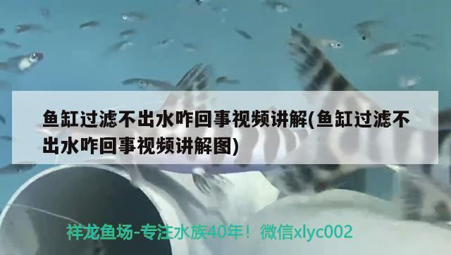 鱼缸过滤不出水咋回事视频讲解(鱼缸过滤不出水咋回事视频讲解图) 除藻剂