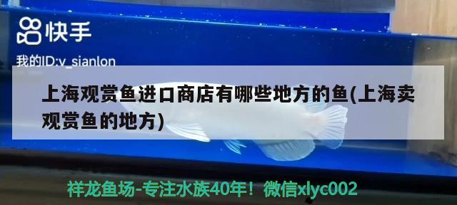 上海观赏鱼进口商店有哪些地方的鱼(上海卖观赏鱼的地方) 观赏鱼进出口