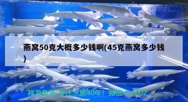 燕窝50克大概多少钱啊(45克燕窝多少钱) 马来西亚燕窝