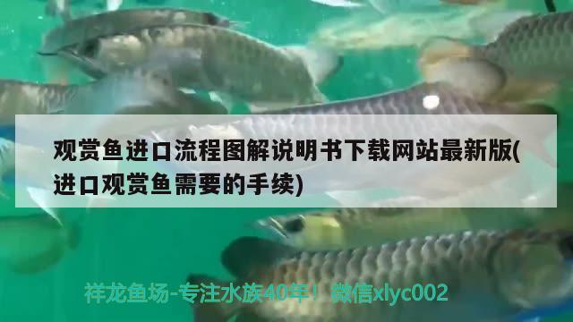 观赏鱼进口流程图解说明书下载网站最新版(进口观赏鱼需要的手续)