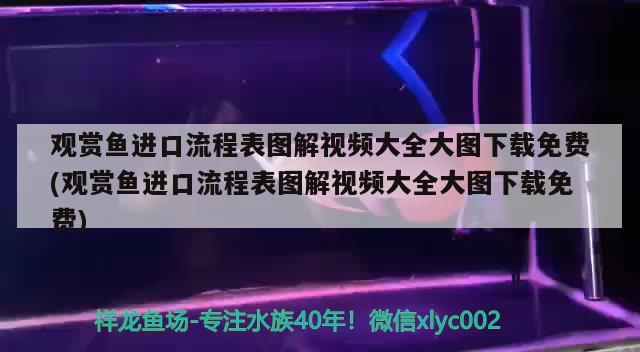 观赏鱼进口流程表图解视频大全大图下载免费(观赏鱼进口流程表图解视频大全大图下载免费)