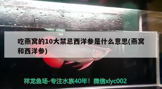 吃燕窝的10大禁忌西洋参是什么意思(燕窝和西洋参)