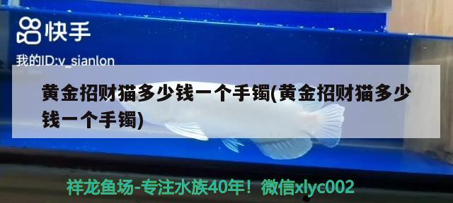 黄金招财猫多少钱一个手镯(黄金招财猫多少钱一个手镯) 黄金招财猫鱼