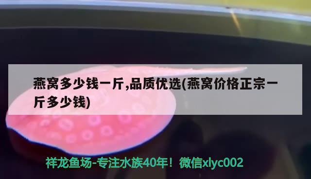 燕窝多少钱一斤,品质优选(燕窝价格正宗一斤多少钱) 马来西亚燕窝