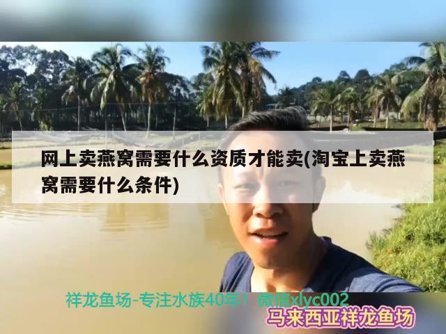 网上卖燕窝需要什么资质才能卖(淘宝上卖燕窝需要什么条件) 马来西亚燕窝