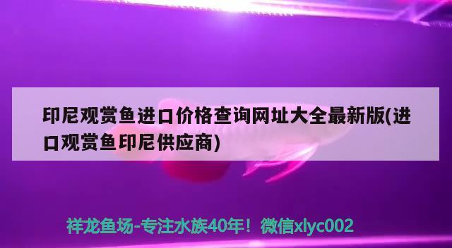 印尼观赏鱼进口价格查询网址大全最新版(进口观赏鱼印尼供应商)