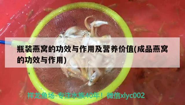 瓶装燕窝的功效与作用及营养价值(成品燕窝的功效与作用)