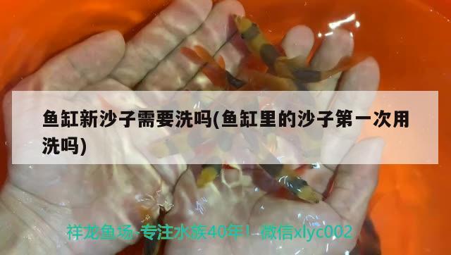 鱼缸新沙子需要洗吗(鱼缸里的沙子第一次用洗吗) 充氧泵