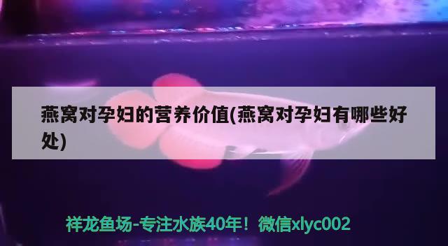 燕窝对孕妇的营养价值(燕窝对孕妇有哪些好处) 马来西亚燕窝 第3张