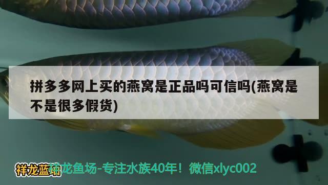 拼多多网上买的燕窝是正品吗可信吗(燕窝是不是很多假货) 马来西亚燕窝