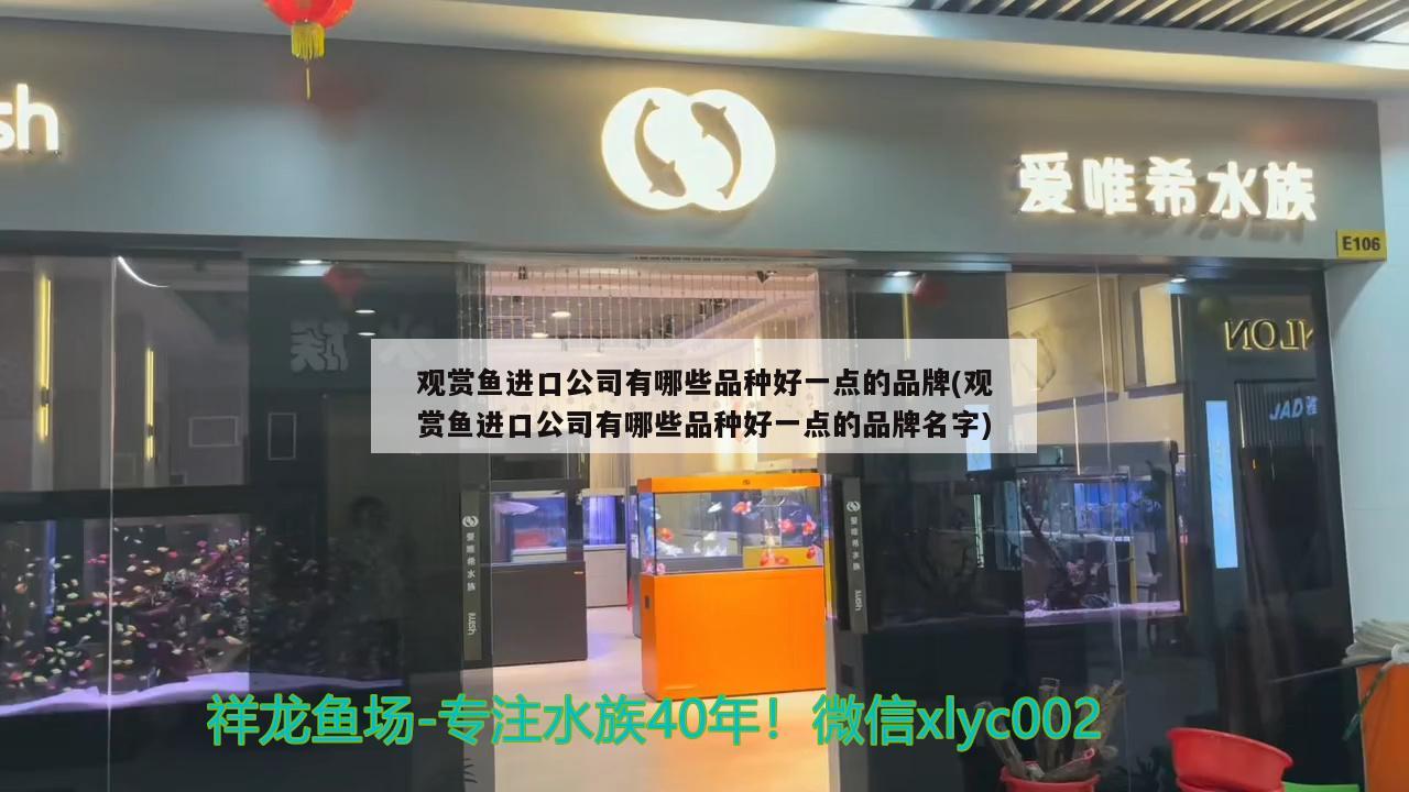 观赏鱼进口公司有哪些品种好一点的品牌(观赏鱼进口公司有哪些品种好一点的品牌名字)