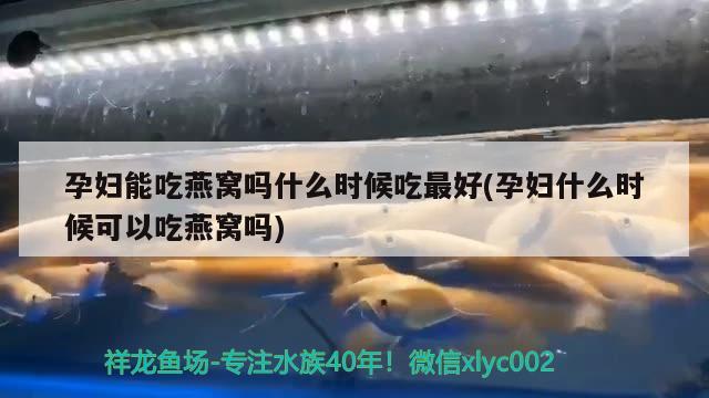 孕妇能吃燕窝吗什么时候吃最好(孕妇什么时候可以吃燕窝吗) 马来西亚燕窝