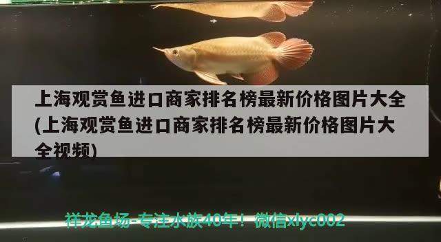 上海观赏鱼进口商家排名榜最新价格图片大全(上海观赏鱼进口商家排名榜最新价格图片大全视频)