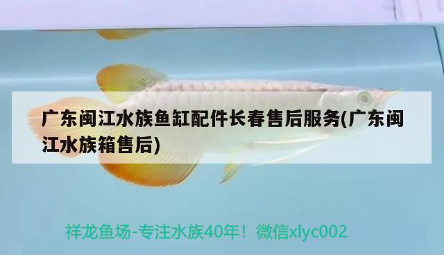 广东闽江水族鱼缸配件长春售后服务(广东闽江水族箱售后) 鱼缸/水族箱