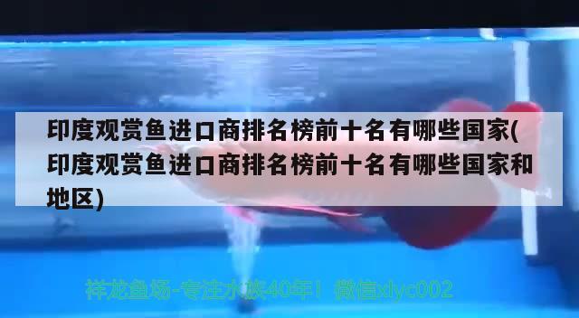 印度观赏鱼进口商排名榜前十名有哪些国家(印度观赏鱼进口商排名榜前十名有哪些国家和地区) 观赏鱼进出口