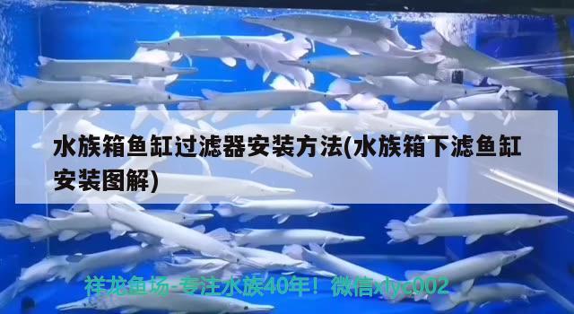 水族箱鱼缸过滤器安装方法(水族箱下滤鱼缸安装图解)