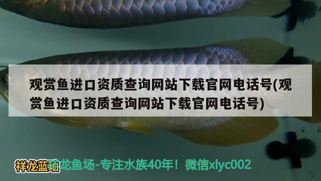 观赏鱼进口资质查询网站下载官网电话号(观赏鱼进口资质查询网站下载官网电话号)