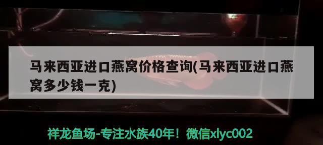 马来西亚进口燕窝价格查询(马来西亚进口燕窝多少钱一克) 马来西亚燕窝