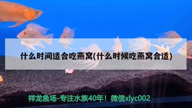 什么时间适合吃燕窝(什么时候吃燕窝合适)