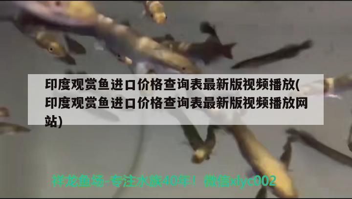 印度观赏鱼进口价格查询表最新版视频播放(印度观赏鱼进口价格查询表最新版视频播放网站) 观赏鱼进出口