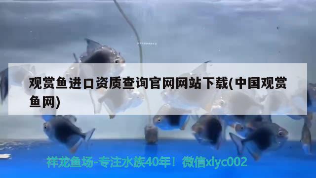 观赏鱼进口资质查询官网网站下载(中国观赏鱼网) 观赏鱼进出口