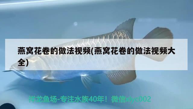 燕窝花卷的做法视频(燕窝花卷的做法视频大全) 马来西亚燕窝