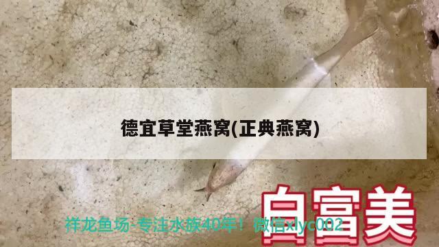 德宜草堂燕窝(正典燕窝) 马来西亚燕窝