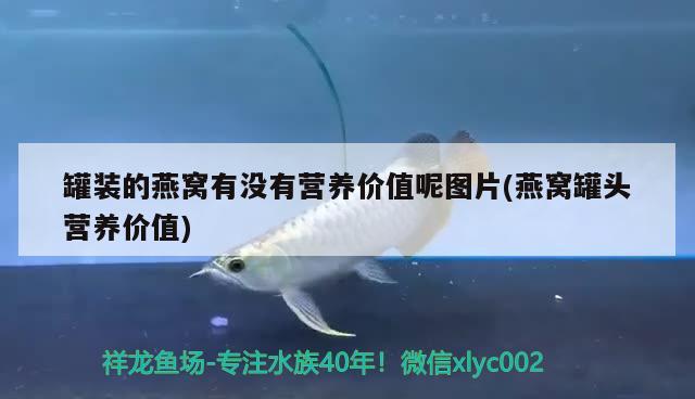 罐装的燕窝有没有营养价值呢图片(燕窝罐头营养价值) 马来西亚燕窝