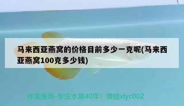 马来西亚燕窝的价格目前多少一克呢(马来西亚燕窝100克多少钱)