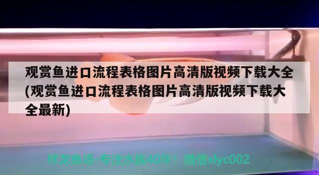 观赏鱼进口流程表格图片高清版视频下载大全(观赏鱼进口流程表格图片高清版视频下载大全最新) 观赏鱼进出口