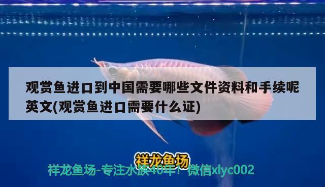 观赏鱼进口到中国需要哪些文件资料和手续呢英文(观赏鱼进口需要什么证)