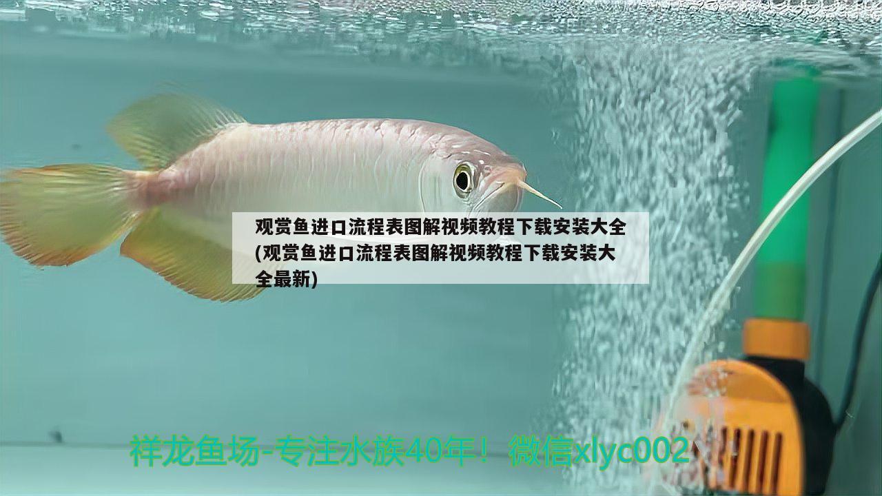 观赏鱼进口流程表图解视频教程下载安装大全(观赏鱼进口流程表图解视频教程下载安装大全最新)