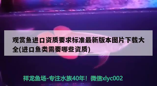 观赏鱼进口资质要求标准最新版本图片下载大全(进口鱼类需要哪些资质)