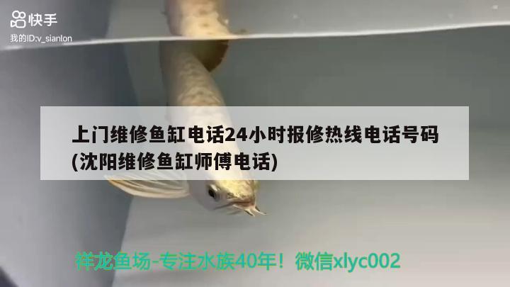 上门维修鱼缸电话24小时报修热线电话号码(沈阳维修鱼缸师傅电话) 观赏鱼水族批发市场