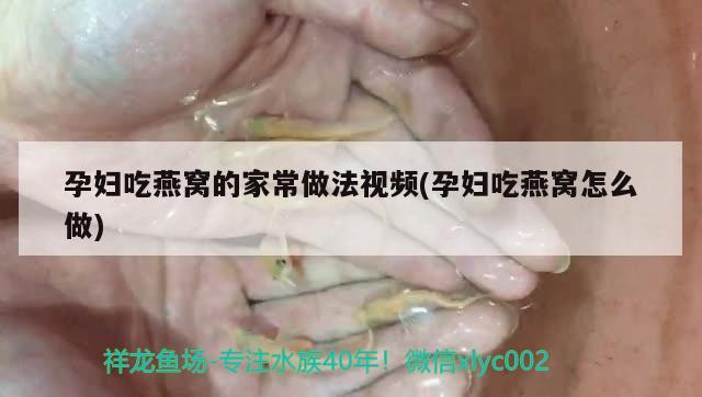 孕妇吃燕窝的家常做法视频(孕妇吃燕窝怎么做) 马来西亚燕窝