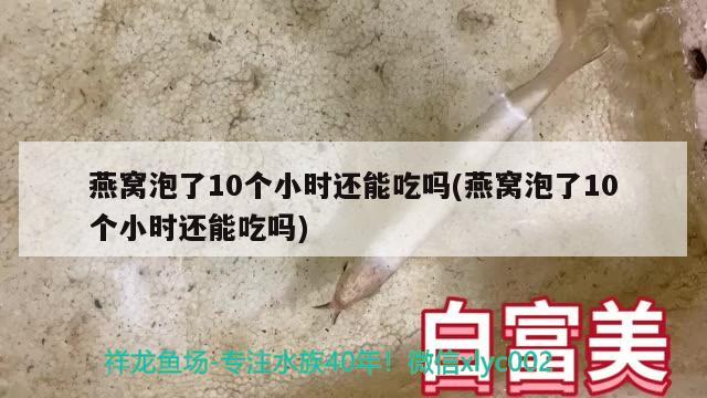 燕窝泡了10个小时还能吃吗(燕窝泡了10个小时还能吃吗) 马来西亚燕窝