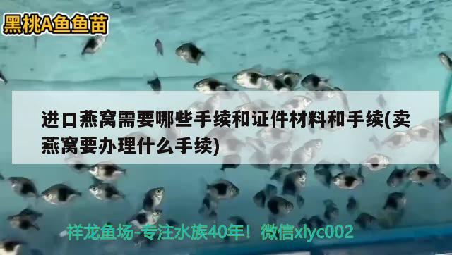 进口燕窝需要哪些手续和证件材料和手续(卖燕窝要办理什么手续)