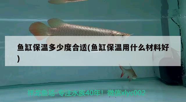 鱼缸保温多少度合适(鱼缸保温用什么材料好) 广州水族批发市场