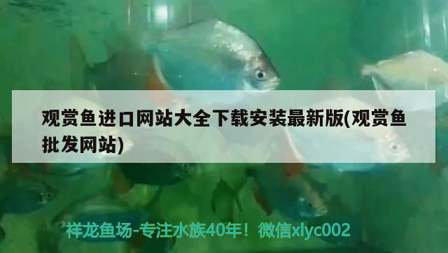 观赏鱼进口网站大全下载安装最新版(观赏鱼批发网站) 观赏鱼进出口