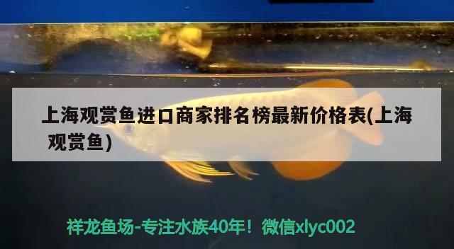 上海观赏鱼进口商家排名榜最新价格表(上海观赏鱼) 观赏鱼进出口