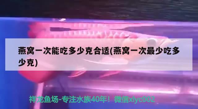 燕窝一次能吃多少克合适(燕窝一次最少吃多少克) 马来西亚燕窝