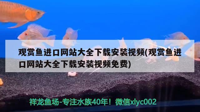 观赏鱼进口网站大全下载安装视频(观赏鱼进口网站大全下载安装视频免费) 观赏鱼进出口