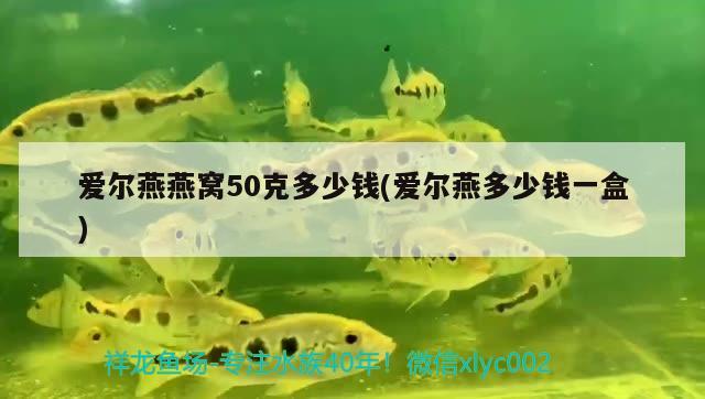 爱尔燕燕窝50克多少钱(爱尔燕多少钱一盒)