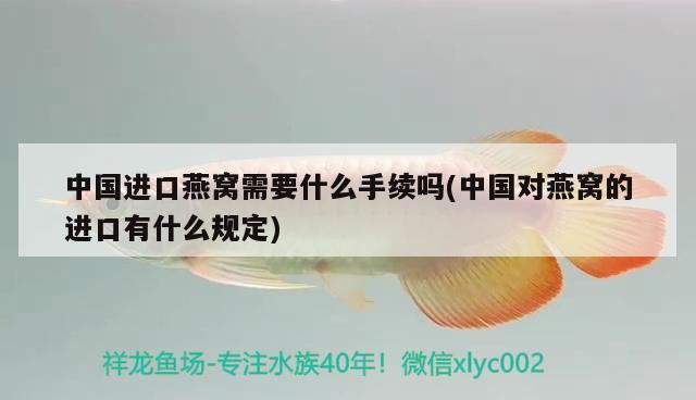 中国进口燕窝需要什么手续吗(中国对燕窝的进口有什么规定) 马来西亚燕窝