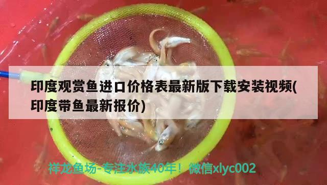 印度观赏鱼进口价格表最新版下载安装视频(印度带鱼最新报价)